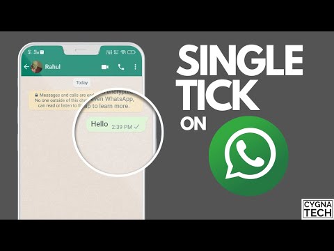 Whatsapp 1 Vinkje Maar Wel Online: Wat Betekent Het?