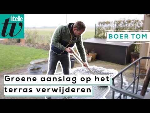 Groene Aanslag Verwijderen Met Stoomreiniger: Een Effectieve Oplossing.