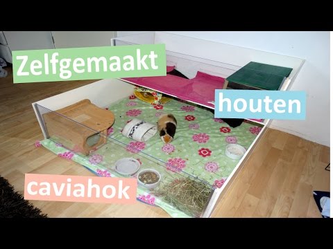 Caviahok Zelf Maken: Een Prachtige Huisvesting Voor Je Cavia’S!