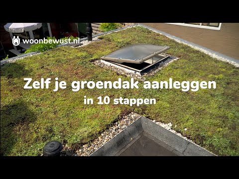 Hoe Maak Je Een Groen Dak Voor Een Duurzame Leefomgeving