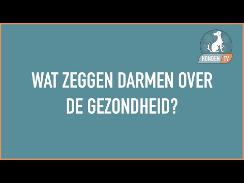 Voeding Voor Honden Met Gevoelige Darmen: Praktische Tips En Adviezen