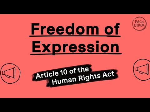 The right to freedom of expression explained in 2 minutes!